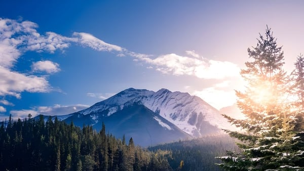 Eine schneebedeckte Bergspitze vor blauem Himmel mit einem Nadelwald im Vordergrund auf dem Gelände der North Peace Secondary School.