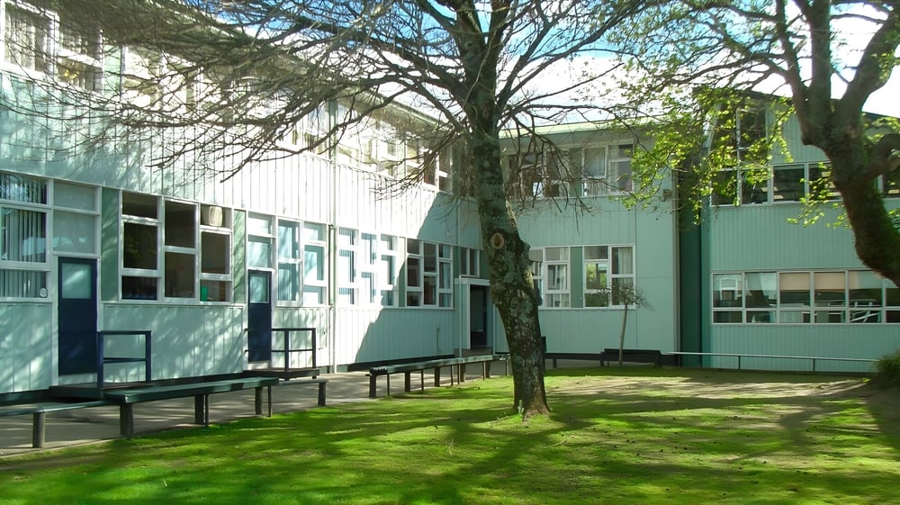 Das moderne grün gestrichene Gebäude des Northcote College mit großen Fenstern steht auf einer Wiese mit einem großen Baum im Vordergrund.