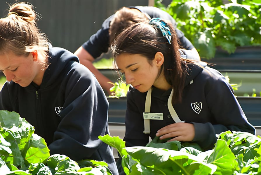 Zwei Schülerinnen der Oakbank Area School pflegen aufmerksam den Schulgarten und untersuchen die Pflanzen.