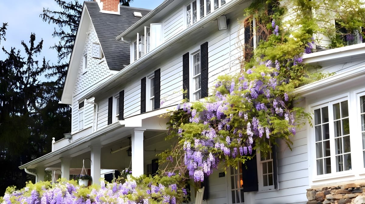 Das weiße zweistöckige Gebäude mit Veranda der Oldfields School ist von üppigem Grün mit blühendem Glyzinien bewachsen.