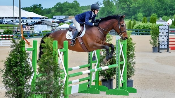 Ein Reiter der Oldfields School überwindet in einem Außengelände einen grünen und weißen Hindernisparcours beim Pferdespringen.