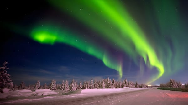 Die Aurora Borealis erhellt den Nachthimmel über einer verschneiten Waldlandschaft nahe der Oromocto High School.