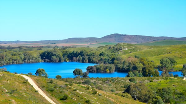 Eine malerische Landschaft mit blauem See und grünen Hügeln in der Umgebung der Orroroo Area School.