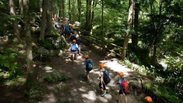 Eine Gruppe von Schülerinnen und Schülern der Our Lady’s Secondary School wandert auf einem bewaldeten Pfad.