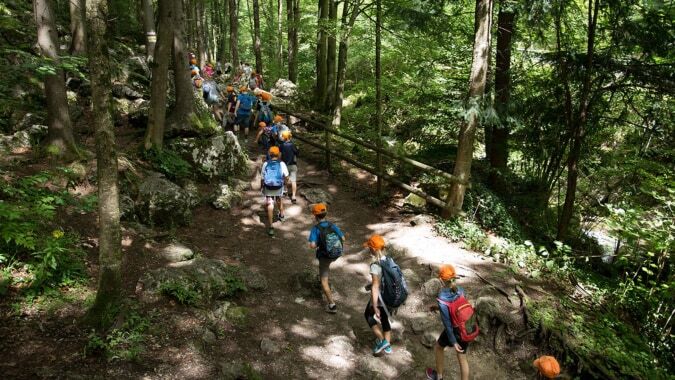 Eine Gruppe von Schülern von Our Lady’s Secondary School wandert auf einem verschlungenen Waldweg durch dichten grünen Wald.