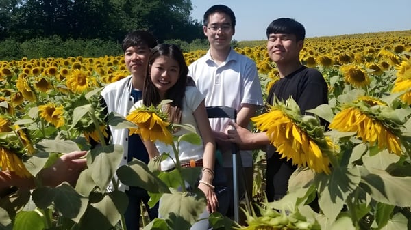 Eine Gruppe von vier Personen steht bei Overland Christian Schools in einem Feld voller leuchtender Sonnenblumen unter blauem Himmel.