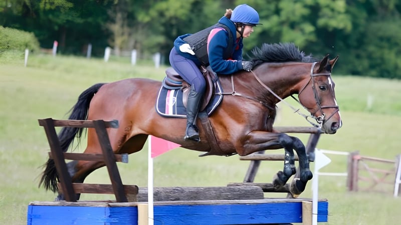 Ein Reiter mit blauem Helm springt mit einem braunen Pferd über ein Hindernis auf dem Gelände des Pangbourne College.