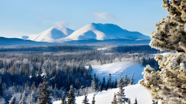 Blick auf schneebedeckte Berge und einen Wald vor Panorama Ridge Secondary School.