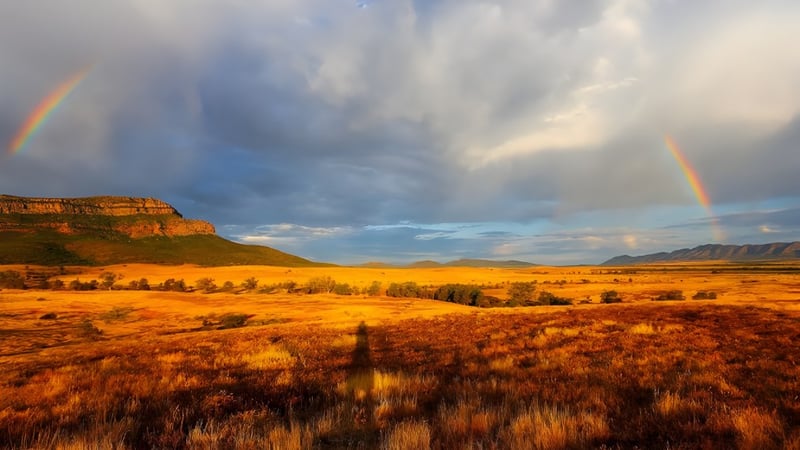Ein weites, goldenes Feld mit Regenbögen und dramatischem Himmel bei Paralowie R-12 School in der Ferne.
