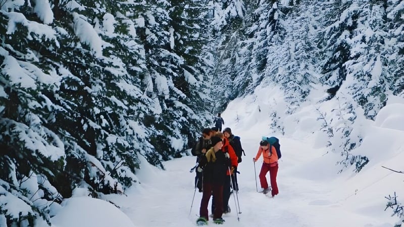 Zwei Personen in Winterkleidung wandern durch den verschneiten Wald auf dem Gelände der Pemberton Secondary School.