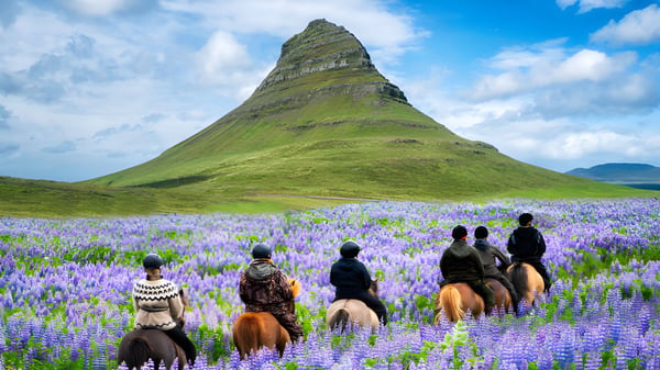 Schüler der Phoenix Magnet Academy reiten auf Pferden durch ein Feld mit lila Lupinen vor einem bewachsenen Berg.