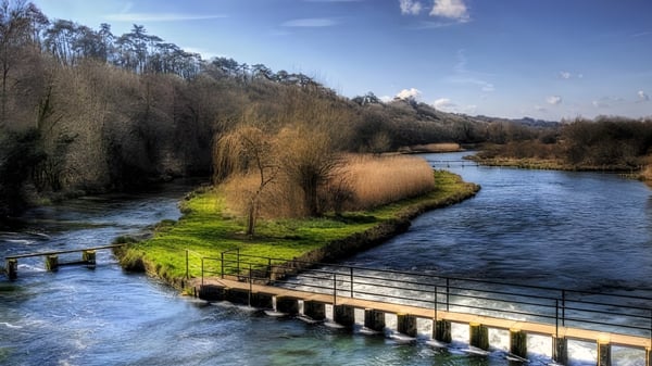 Ein ruhiger Fluss fließt durch eine bewaldete Landschaft auf dem Gelände des Portsmouth College.