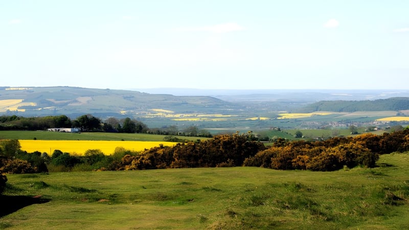Eine malerische Landschaft mit gelben Feldern und Wäldern in der Nähe von Prior Park College.