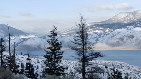 Verschneite Berglandschaft mit gefrorenem See und kahlen Bäumen unter bewölktem Himmel in der Umgebung von Queen Elizabeth Regional High.