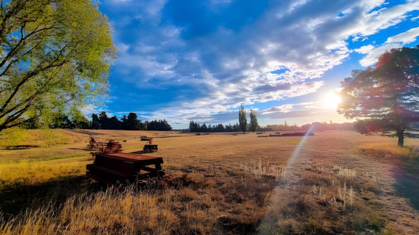 Eine rustikale Holzbank vor einer ländlichen Landschaft mit Bäumen und dramatischen Wolken auf dem Campus der Rangiora High School.