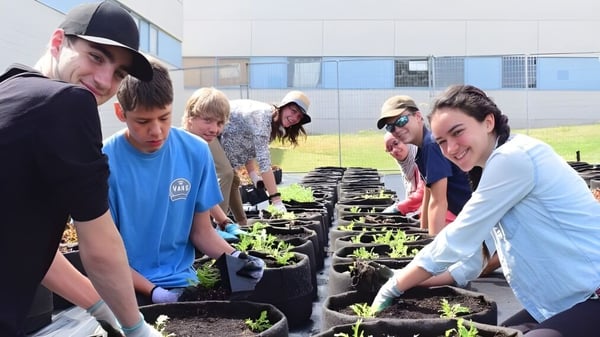 Schüler der Reynolds Secondary School pflanzen gemeinsam junge Pflanzen in einem Gartenbeet.