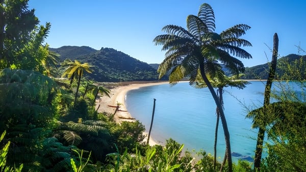 Eine tropische Strandlandschaft mit Palmen und Bergen im Hintergrund nahe der Riccarton High School.