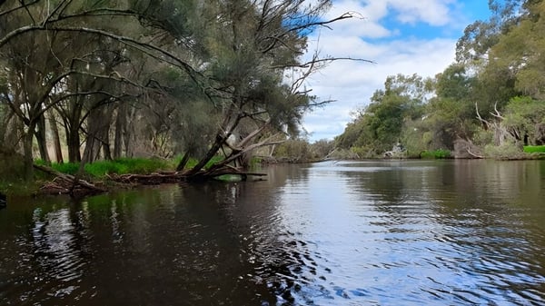 Ein ruhiger Fluss fließt durch eine bewaldete Landschaft in der Nähe der Riverton and District High School.
