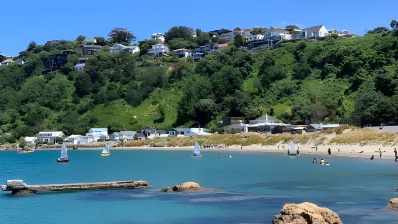 Blick auf eine Küstenstadt mit Segelbooten und Schwimmern im Wasser nahe dem Rongotai College.