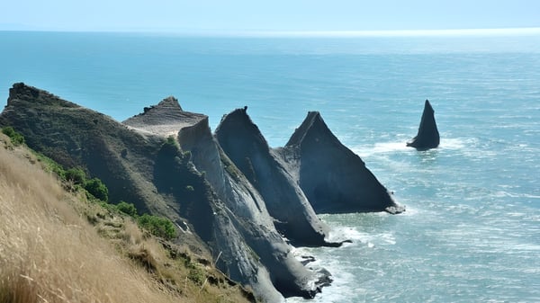 Dramatische Felsformationen an der Küste mit ruhigem Meer vor dem Sacred Heart College Napier.