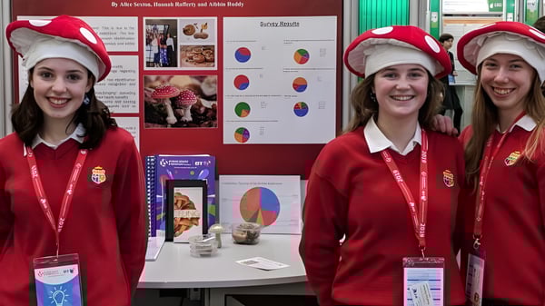 Drei Schülerinnen der Sacred Heart Secondary School Clonakilty in roten Uniformen und Weihnachtsmützen stehen vor einem Informationstafel.