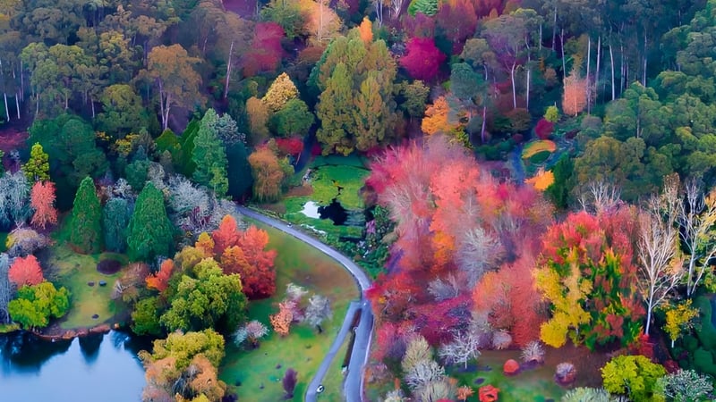 Eine kurvenreiche Straße führt durch herbstlichen Wald mit bunten Bäumen und einem ruhigen Gewässer nahe der Salisbury East High School.