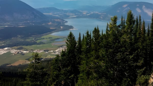 Eine grüne Waldlandschaft mit einem See und Bergen im Hintergrund nahe der Salmon Arm Secondary.