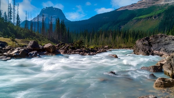 Ein Bergbach fließt durch eine bewaldete Landschaft unter den Bergen auf dem Gelände der Sardis Secondary School.
