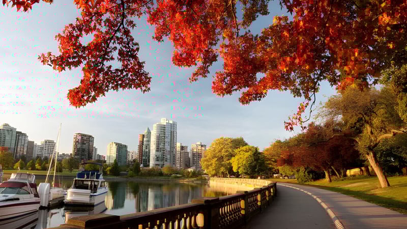 Ein ruhiger Wasserweg mit buntem Herbstlaub entlang des Ufers in der Nähe der Saunders Secondary School.