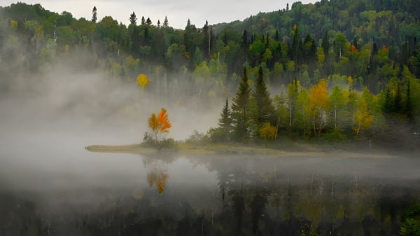 Ein ruhiger See mit herbstlich bunt gefärbtem Wald spiegelt die Landschaft auf dem Gelände des Séminaire de Chicoutimi wider.