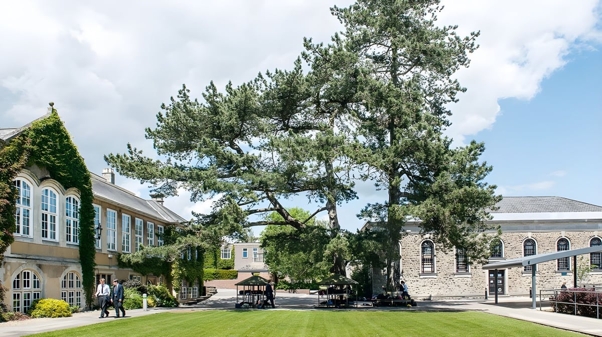 Ein großer Kiefernbaum auf der grünen Wiese vor einem steinernen Gebäude mit Bogenfenstern auf dem Campus der Sevenoaks School.