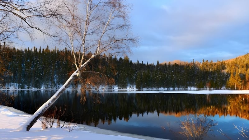 Eine ruhige Winterlandschaft mit See und Bergen auf dem Gelände der Shaftesbury High.