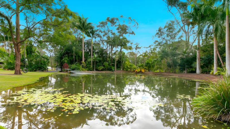Ein ruhiger Teich mit Bäumen und Vegetation spiegelt sich in den Gewässern auf dem Gelände des Sheldon College.