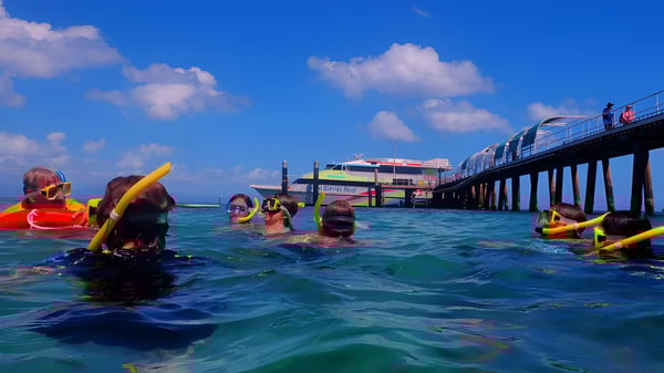 Einige Personen schwimmen im klaren Wasser neben einem bunten Steg bei Smithfield State High School.