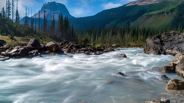Ein Gebirgsbach fließt durch eine bewaldete Landschaft mit hohen Gipfeln im Hintergrund nahe der Souris Regional School.