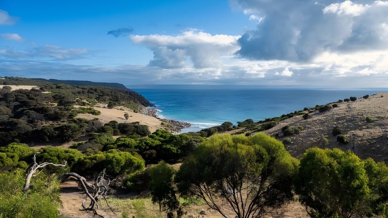 Eine grüne Küstenlandschaft mit felsiger Küste und weitem Ozean unter bewölktem Himmel nahe Southern River College.