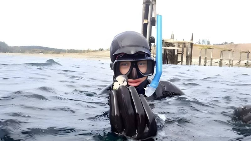 Eine Person mit Tauchausrüstung schwimmt nahe eines Stegs auf dem Gelände der Spring Street International School.
