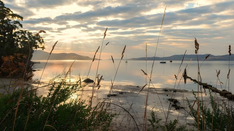 Ein ruhiger See mit hohem Gras und bewölktem Himmel nahe der Springfield Central State High School.