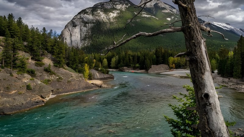 Ein Bergbach fließt durch eine bewaldete Landschaft nahe der St. Anne Catholic High School unter dramatischem Wolkenhimmel.
