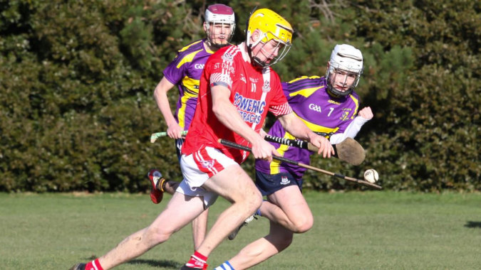 Schüler der St. David's C.B.S. nehmen an einem sportlichen Außentraining auf einem Spielfeld mit Rasen und Bäumen teil.