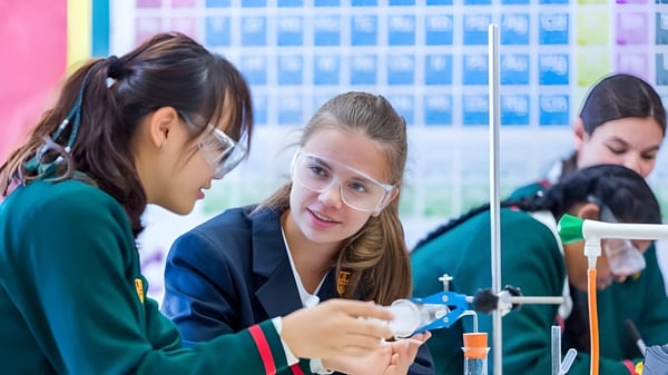 Schülerinnen und Schüler von St. Francis' College arbeiten gemeinsam an einem naturwissenschaftlichen Projekt im Klassenzimmer.