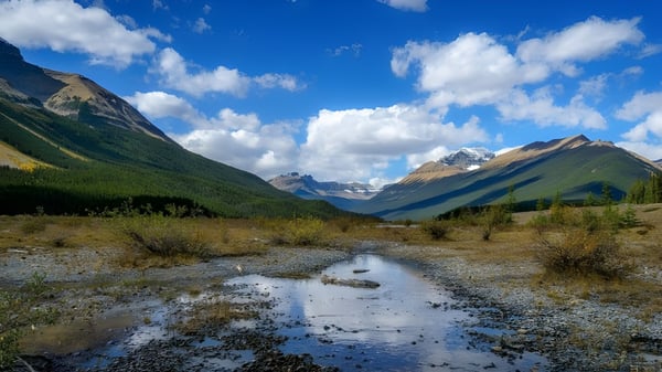 Eine ruhige Berglandschaft mit einem schlängelnden Bach und üppiger Vegetation unter blauem Himmel.