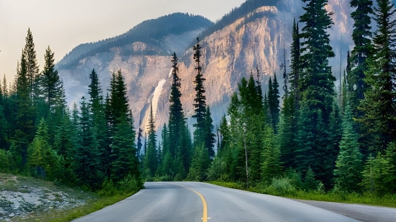 Eine gewundene Straße führt durch eine bewaldete Landschaft mit Bergen im Hintergrund auf dem Gelände von St Mary’s District & Vocational Collegiate Institute.