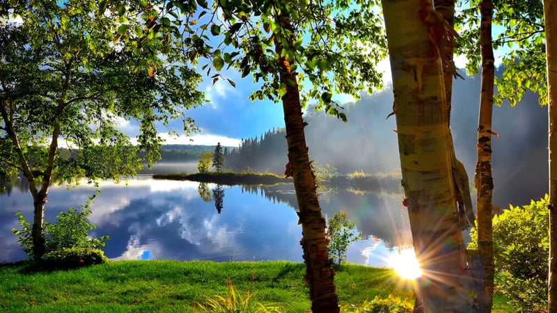 Ein ruhiger See mit grünen Bäumen auf dem Gelände der St. Patrick’s High School in Québec City.