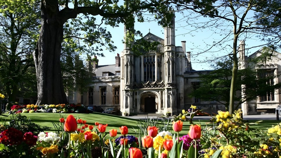 Das gotische Gebäude der St. Peters School ist von einem Garten mit bunten Tulpen und anderen Blumen umgeben.