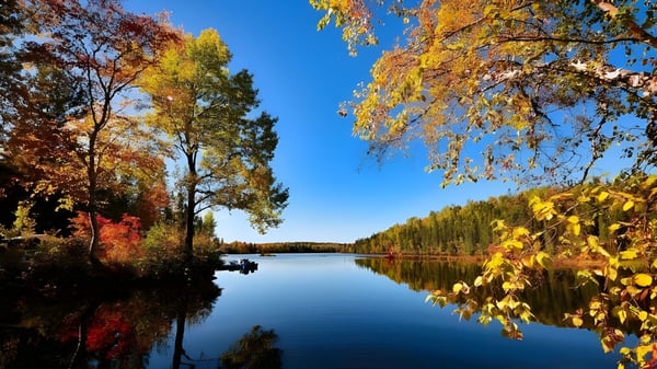 Ein ruhiger See mit herbstlich bunten Bäumen spiegelt die Umgebung auf dem Gelände der St. Thomas High School wider.