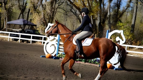 Eine Schülerin der Steamboat Mountain School reitet ein braunes Pferd im Außenbereich mit Bäumen und Zaun.