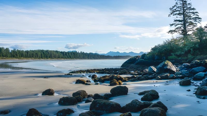 Felsige Küstenlandschaft mit immergrünen Wäldern und schneebedeckten Bergen unter einem bewölkten Himmel.