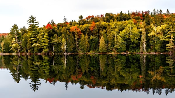 Ein ruhiger See mit herbstlich gefärbtem Wald spiegelt sich auf dem Gelände der Stouffville District Secondary School.