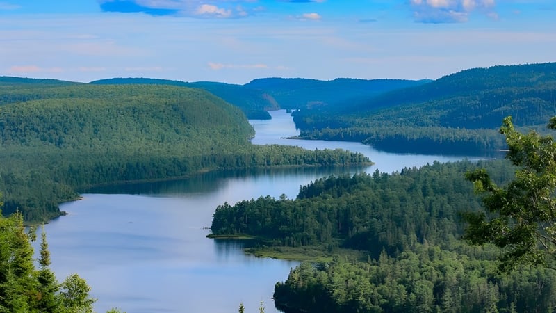 Blick auf eine bewaldete Flusslandschaft mit Bergen im Hintergrund nahe der Stratford District Secondary School.